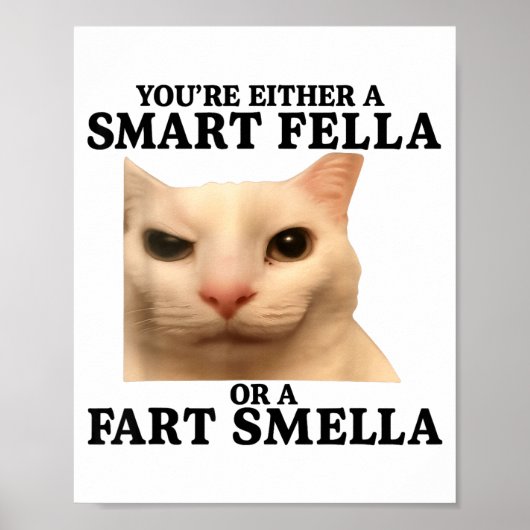 Lustig, du bist entweder ein schlauer Kerl oder ei Poster (Vorne)