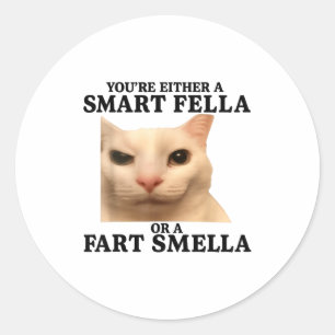 Lustig, du bist entweder ein schlauer Kerl oder ei Runder Aufkleber
