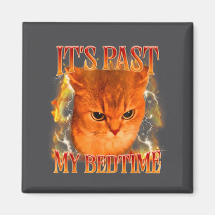Lustig Es ist Zeit für mein Bett Katzen-Meme Tiere Magnet