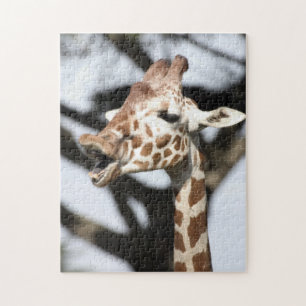 Lustig gesichtete Netz-Giraffe, San Francisco Puzzle