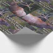 Lustig kann ich nicht glauben, dass sie wütenden geschenkpapier (Ecke)