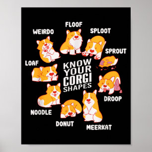 Lustig Kennen Sie Ihre Corgi-Formen Süße Walisisch Poster