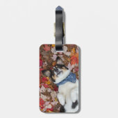 Lustig, niedlich, Corgi-Blick Gepäckanhänger (Rückseite vertikal)