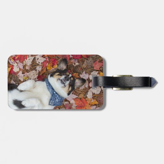 Lustig, niedlich, Corgi-Blick Gepäckanhänger (Rückseite horizontal)