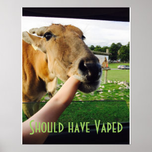 Lustig sollte Vaped Plakat haben