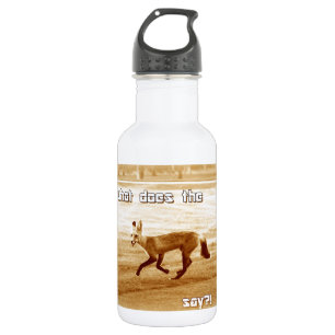 lustig was sagt der Fuchs Trinkflasche