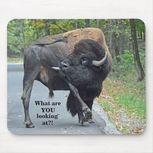 Lustig, was Sie betrachtend sind? Stier-Bison Mousepad (Vorne)