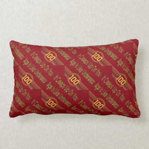 Lustige 100. Geburtstags-Geschenke. Alter ist wie Lendenkissen