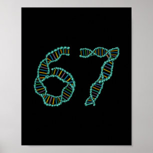 Lustige 67 Zahl Meme DNA-Replikation Molekulare Wi Poster