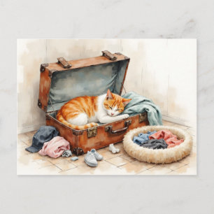 Lustige Adressänderung von der orangefarbenen Katz Postkarte