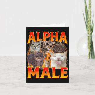Lustige Alpha-Männchen-Katze-Kätzchen-Meme-Antik-P Karte