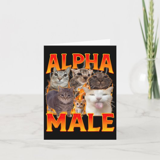 Lustige Alpha-Männchen-Katze-Kätzchen-Meme-Antik-P Karte (Vorderseite)