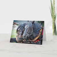 Lustige alte Knacker-Pferd-Grußkarte