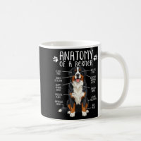 Lustige Anatomie Berner Sennenhund Süßer Berner Li