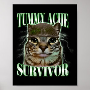 Lustige Bauchschmerzen Überlebende Katzen Meme Poster