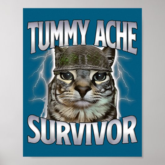 Lustige Bauchschmerzen Überlebender Katzen Meme Poster (Vorne)