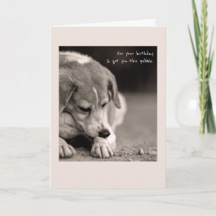 Lustige Beagle-Geburtstagskarte Karte