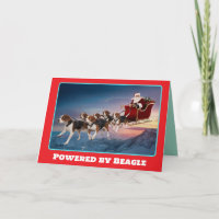 Lustige Beagle-Weihnachtsfeiertage