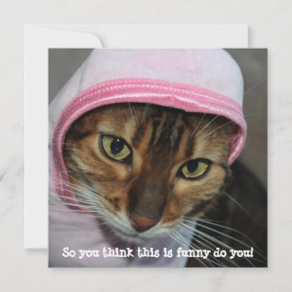 Lustige Bengalkatze, "Du denkst also, das ist lust Feiertagskarte