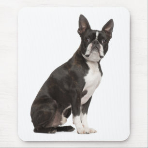 Lustige Boston-Terrier-Geschenke für Liebhaber süß Mousepad