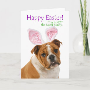 Lustige Bulldoggen-Ostern-Karte Feiertagskarte