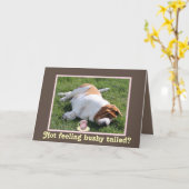 Lustige buschige angebunden "erhalten wohlen" karte (Gelbe Blume)