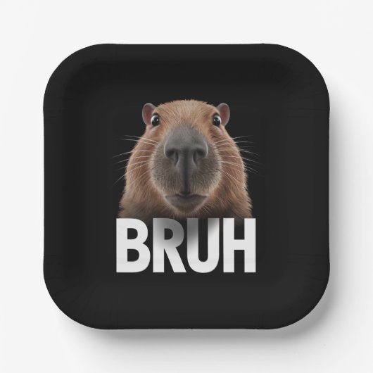 Lustige Capybara Bruh  Pappteller (Vorderseite)
