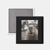 Lustige Capybara-Geist Halloween-Kostüm Capybara H Magnet (Vorderseite/Rückseite)