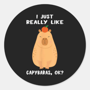 Lustige Capybara-Kunst für Männer Frauen Kinder Na Runder Aufkleber