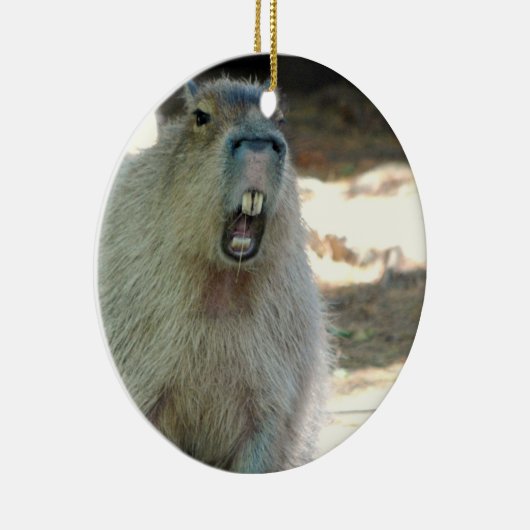 Lustige Capybara-Verzierung Keramik Ornament (Rechts)