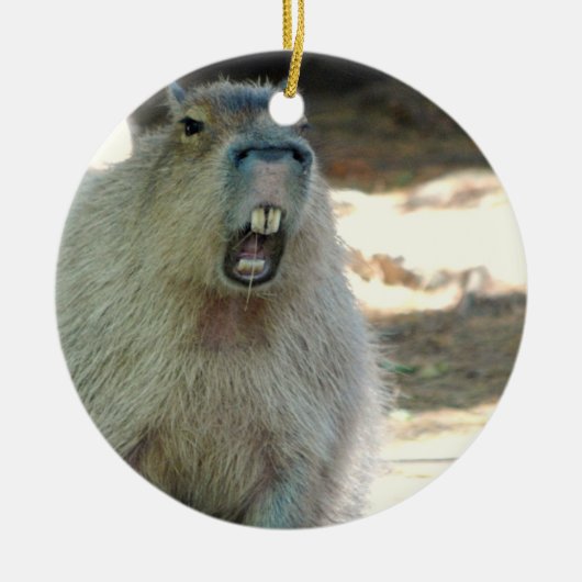 Lustige Capybara-Verzierung Keramik Ornament (Vorne)
