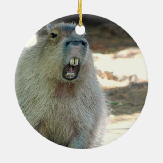 Lustige Capybara-Verzierung Keramik Ornament (Hinten)