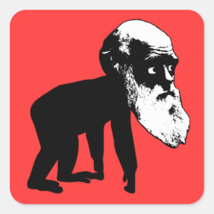 Lustige Darwin-Evolution Quadratischer Aufkleber