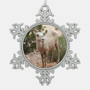 Lustige Dickhornschafe im Zion-Nationalpark Schneeflocken Zinn-Ornament