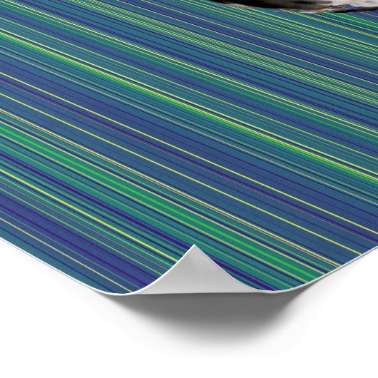 lustige DJ-Katze Poster (Ecke)