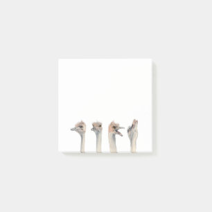 Lustige Drama-Königin des Strauß-Vogel-Aquarell-  Post-it Klebezettel