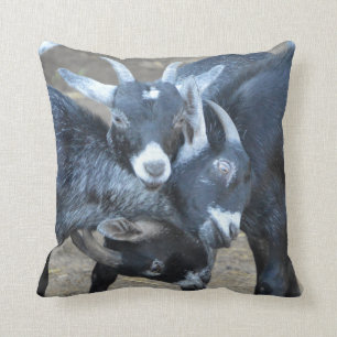 Lustige drei Ziegen in einem Hauptverschluß Kissen