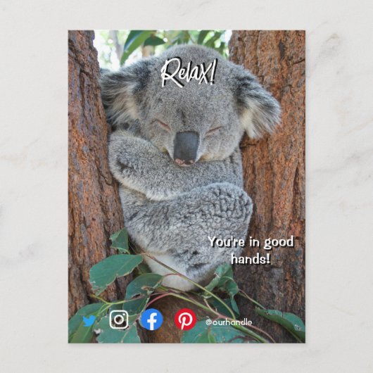 lustige echte Anwesen Postkarte entspannt koala (Vorderseite)