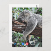 lustige echte Anwesen Postkarte entspannt koala (Vorne/Hinten)