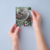 lustige echte Anwesen Postkarte entspannt koala Flyer (Gruppe)