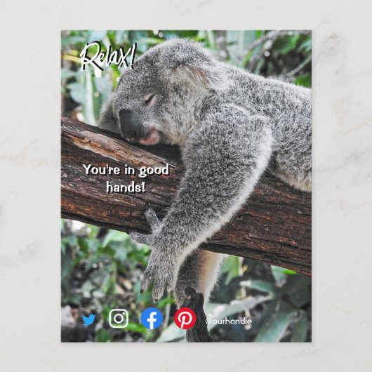 lustige echte Anwesen Postkarte entspannt koala Flyer (Vorne)