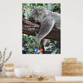 lustige echte Anwesen Postkarte entspannt koala Poster (Küche)