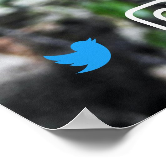 lustige echte Anwesen Postkarte entspannt koala Poster (Ecke)