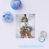 lustige echte Anwesen Postkarte Relaxhund Flyer (Einzeln)