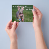 lustige echte Anwesen schnuppern beim nächsten Zuh Flyer (Gruppe)