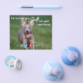 lustige echte Anwesen schnuppern beim nächsten Zuh Flyer (Einzeln)