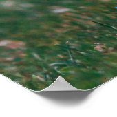 lustige echte Anwesen schnuppern beim nächsten Zuh Poster (Ecke)