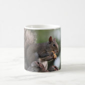 Lustige Eichhörnchen-Tasse, oh Nüsse, bin ich aus Kaffeetasse (Mittel)