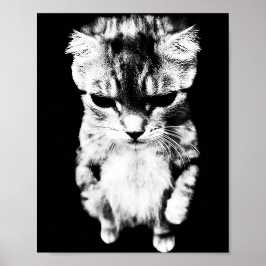 Lustige El Gato Traurige Katzenmeme Poster (Vorne)