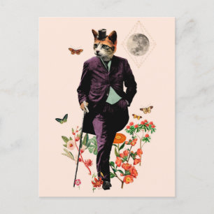 Lustige elegante Katze Postkarte